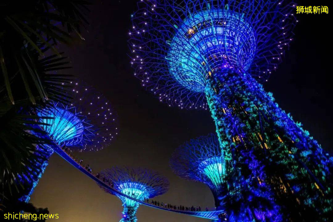 美輪美奂！新加坡聖誕仙境回歸，星光大道、熱帶雪、嘉年華