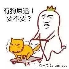 “作为社畜放弃留在法国,来新加坡搬砖的原因是...”