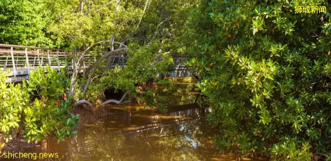 新加坡南部要建新公园,占地200公顷!这些地方太美了打卡必去