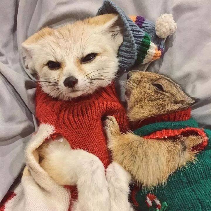 慌！这些新加坡常见的诈骗，辣妈们你们碰到过几种