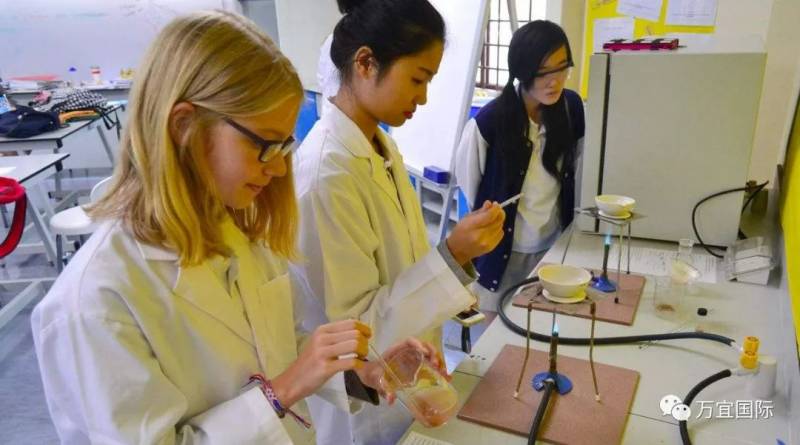 新加坡國際學校 VS 中國國際學校，你怎麽選