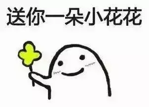 賞花季到啦！全島各地重現“新加坡櫻花”景象！還去日本賞什麽櫻花