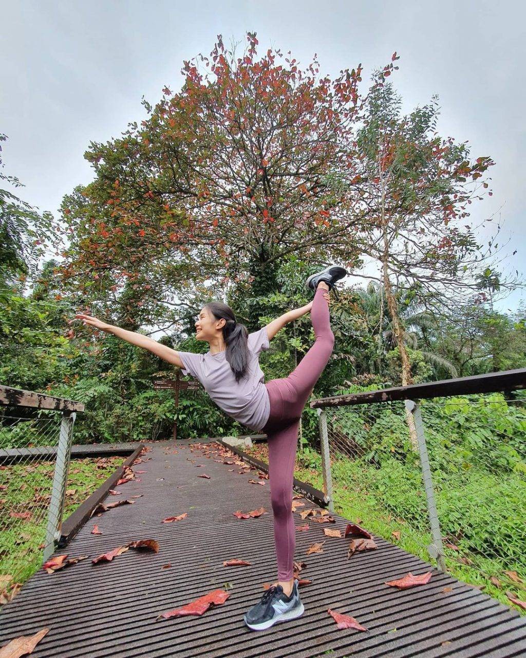 徒步吸氧去🍃Windsor Nature Park濕地公園，隱秘寶藏仙境✨ 3段徒步路徑、淡水溪流、沼澤棲息地