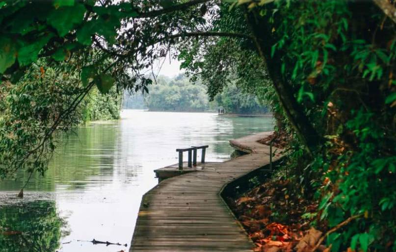 這個周末去徒步吧！（朋友攜伴、親子活動）