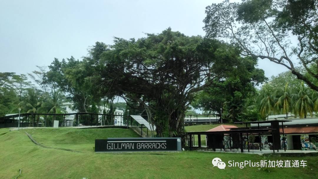 居然有人願意一天都泡在新加坡吉爾曼軍營?有點兒意思