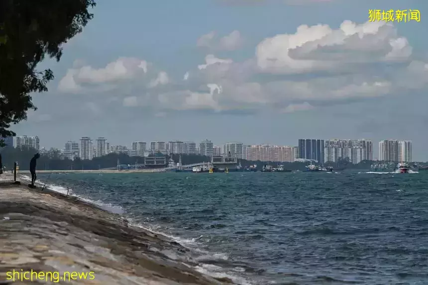 新加坡碳税的成就与挑战