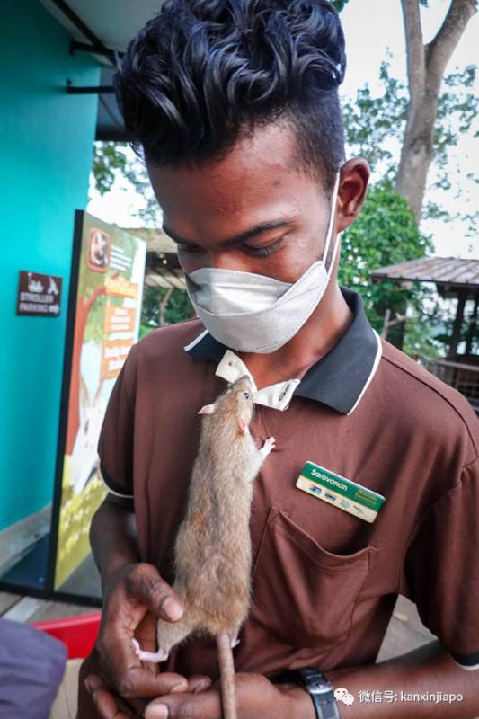 动物园独家闪促优惠!李显龙带头探访小动物