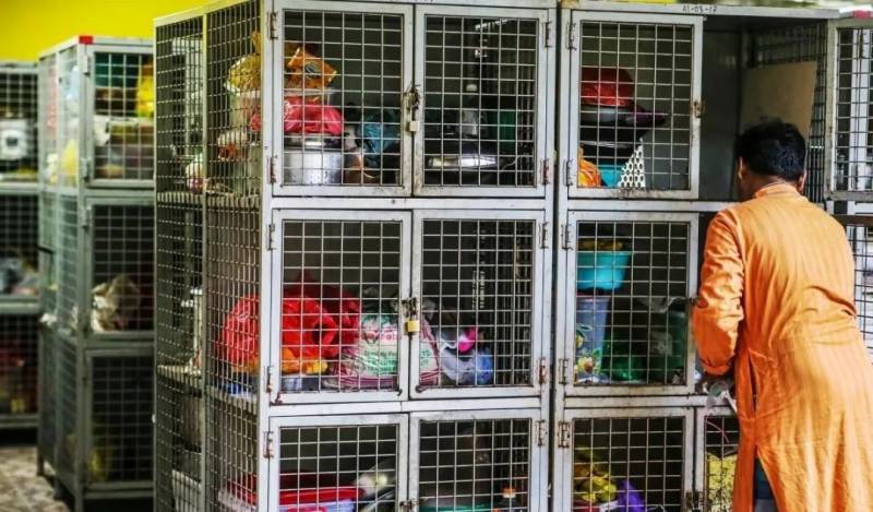 新加坡客工的難，絕不是從這次疫情開始的