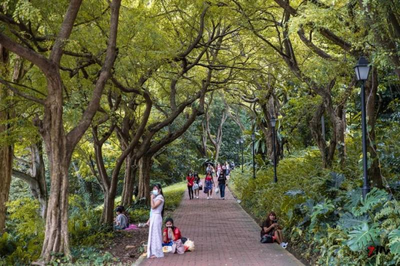 这座网红美照最多的小山,承载着新加坡那段血与火的历史