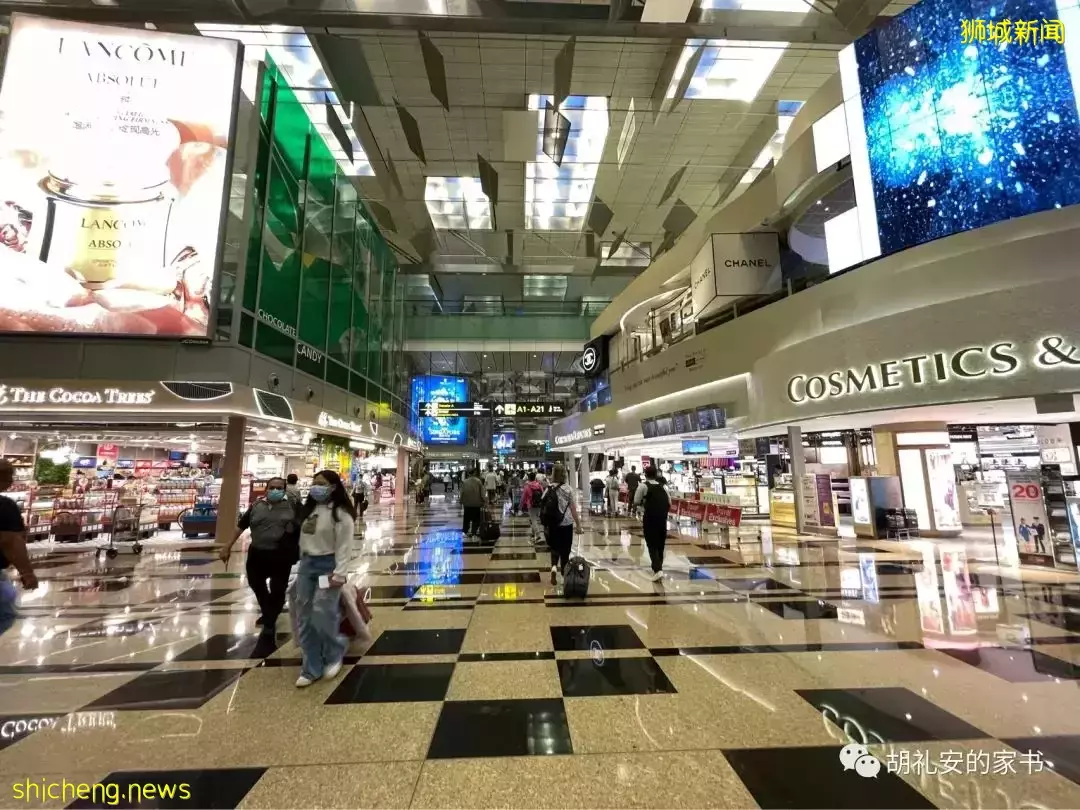 全過程記錄!4月4日從新加坡飛往封城中的上海,入境隔離多圖