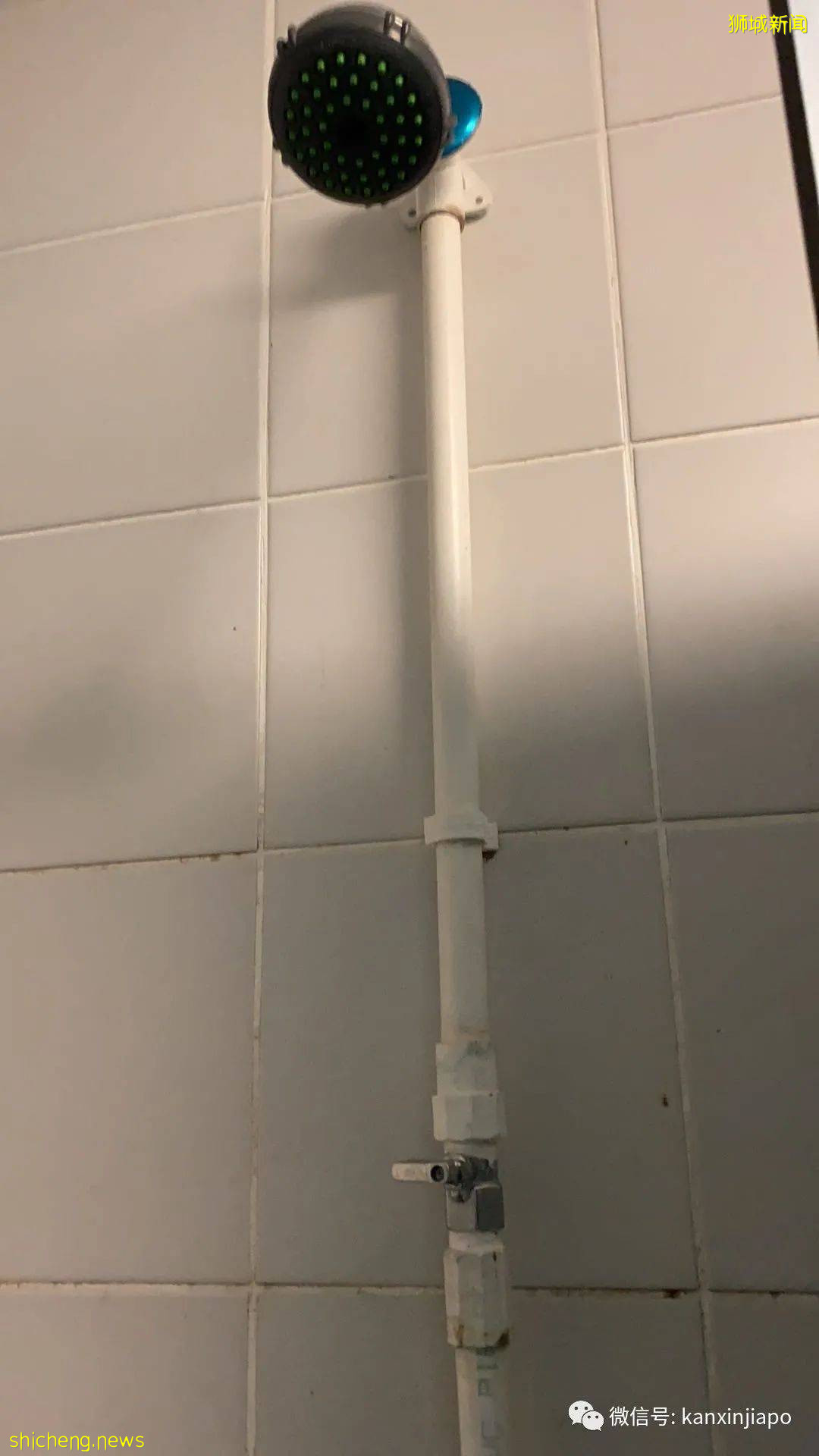 网友爆料社区护理中心:“一个房间住了10个感染者是什么概念?”