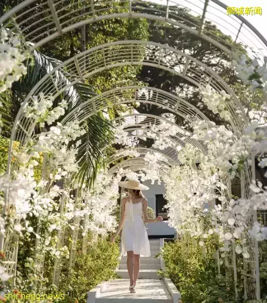 【一日姐妹遊】來新加坡殖民風情“小歐洲”！一起徒步、吃網紅美食，做戶外瑜伽