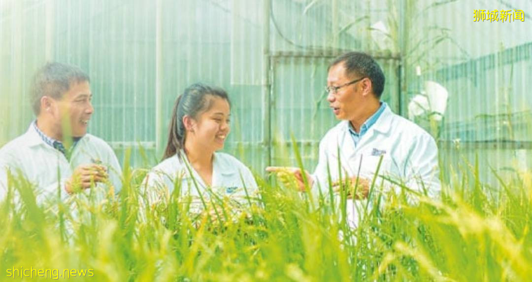 “神秘公司”淡马锡年度报告来啦!投资了辉瑞、元气森林和Shopee