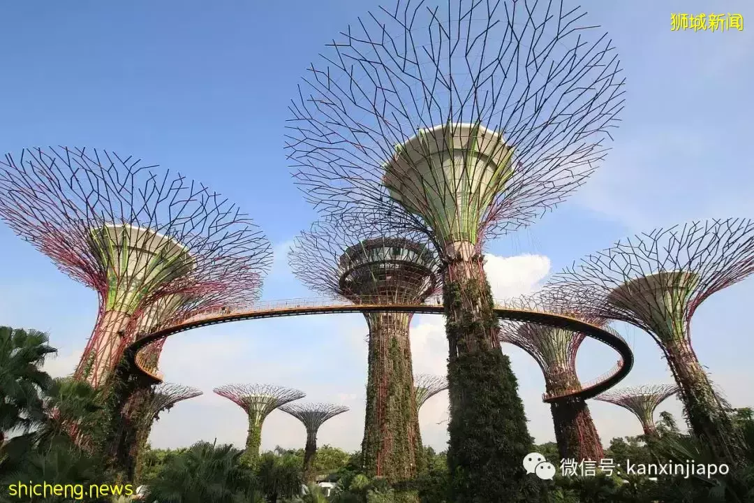 极端天气频发,新加坡未来或被淹没,政府如何应对