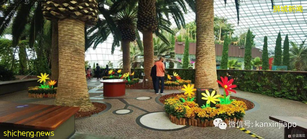 新加坡親子好去處！濱海灣～花穹～雲霧森林～空中步道半日遊