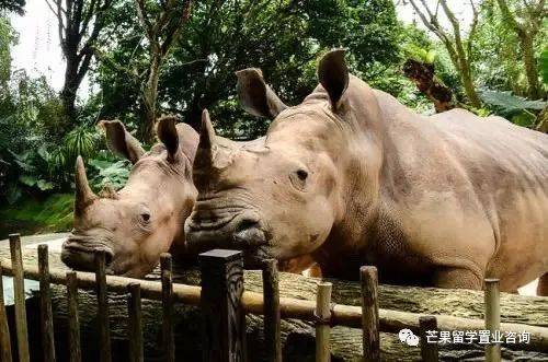 新加坡“親子娛樂”好去處盤點(1)