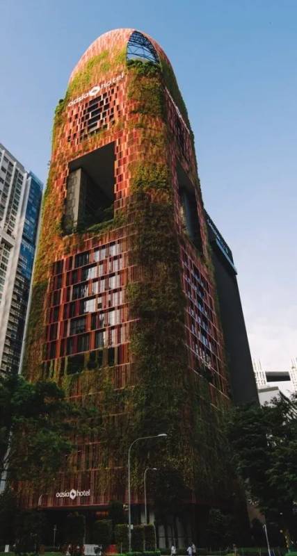 開扒 《西部世界3》《摘金奇緣》獅城取景點大揭秘，你都發現了嗎