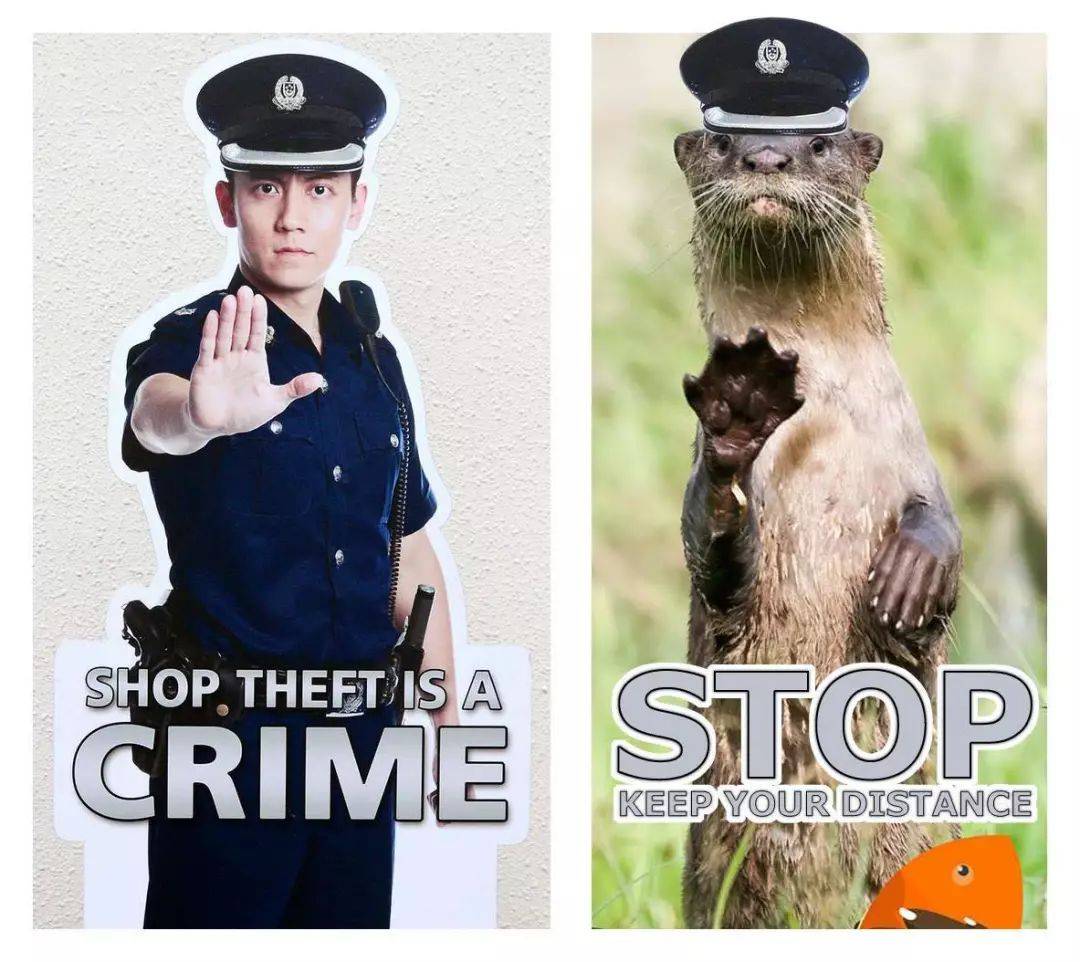 新加坡的野生动物也太不好惹了吧