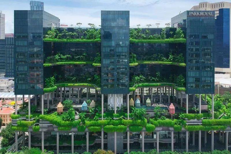 新加坡绿色城市发展