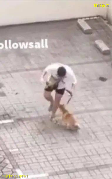 男子天台虐狗场面令人发指，狗狗哀嚎阵阵令人心碎