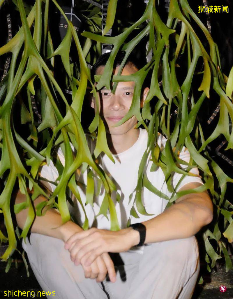 一场婚礼能让王薇薇缔造婚纱王国,也能让人开创热带花艺天地;看新加坡元建筑师如何为一直被人看扁的热带花卉翻案