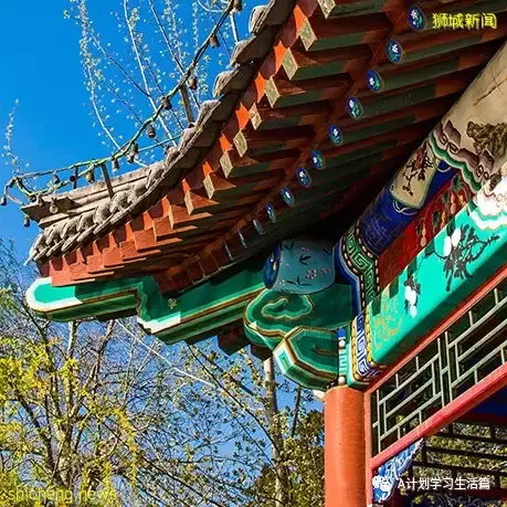 泰晤士发布2022年亚洲大学排名，中国6所,新加坡2所进入TOP10