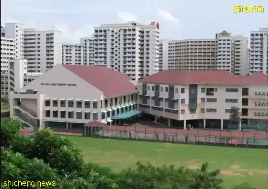 新加坡中学择校指南都在这,更不要错过IP直通车计划、中学直接招生计划DSA