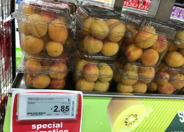 新加坡自由行(六)