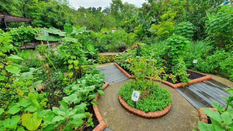 新加坡社区花园节10月24日开幕,超过30个免费活动线上登场