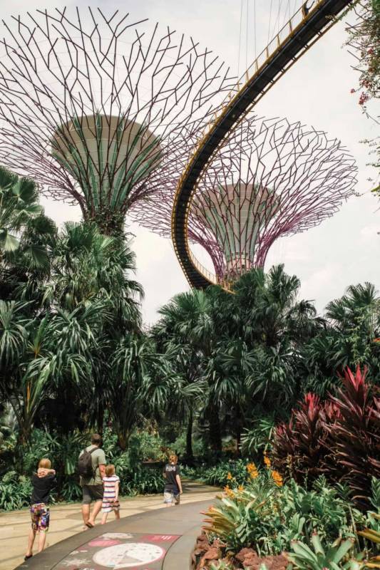 新加坡有一個空中花園,這有你想不到的都市仙境