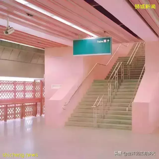 45张照片,带你见识新加坡,不为人知的另一面