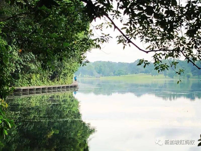 小小的新加坡竟有17個水庫　一個比一個清幽秀麗