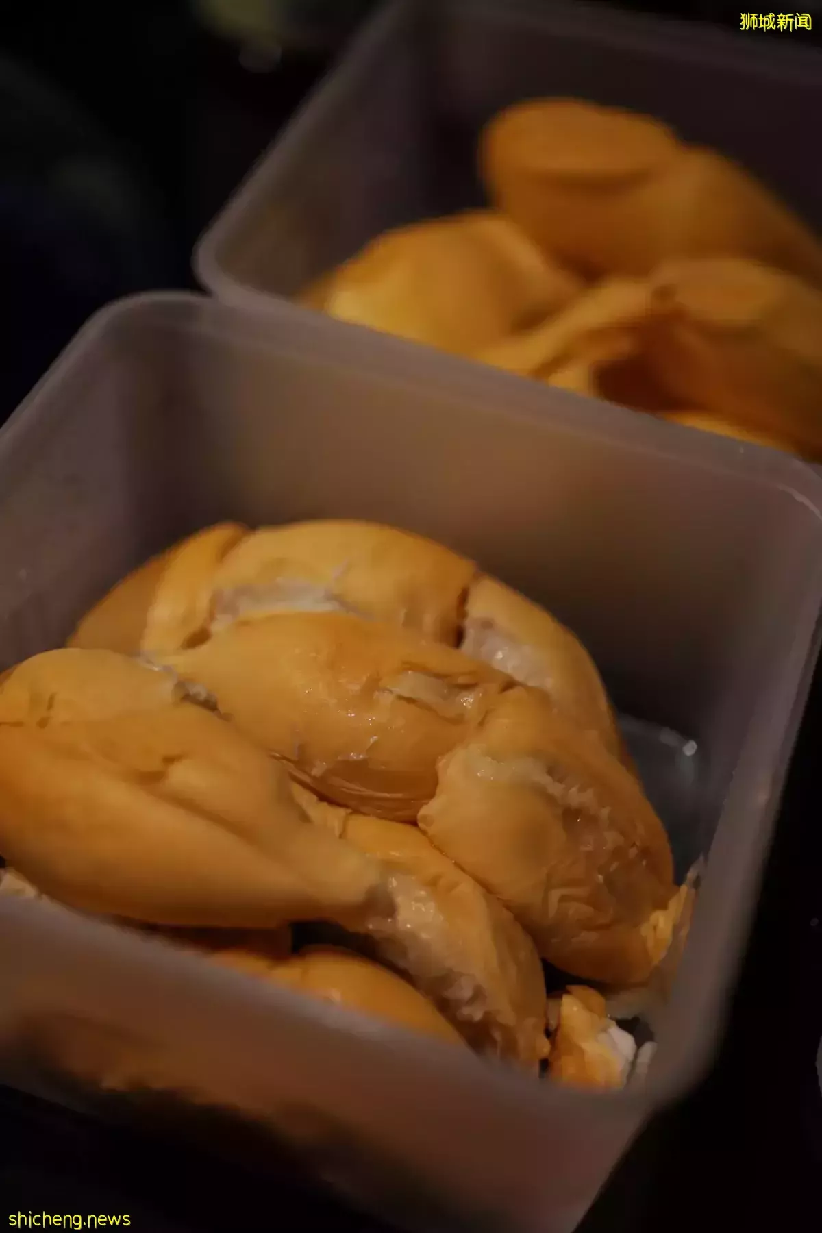 不用排队，N刷热门项目！包车仅$180往返，新山乐高乐园3天2夜太爽啦