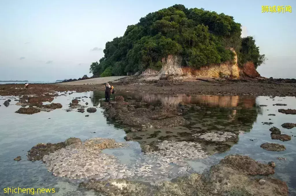 無需簽證！新加坡周邊12個絕美小島，每個都超有特色