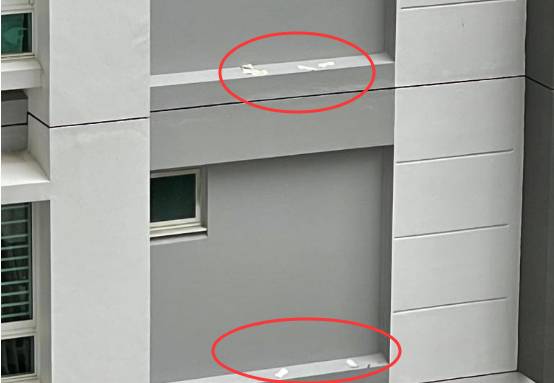 新加坡组屋区卫生巾、纸巾频频从天而下,难道又被野鸡占领