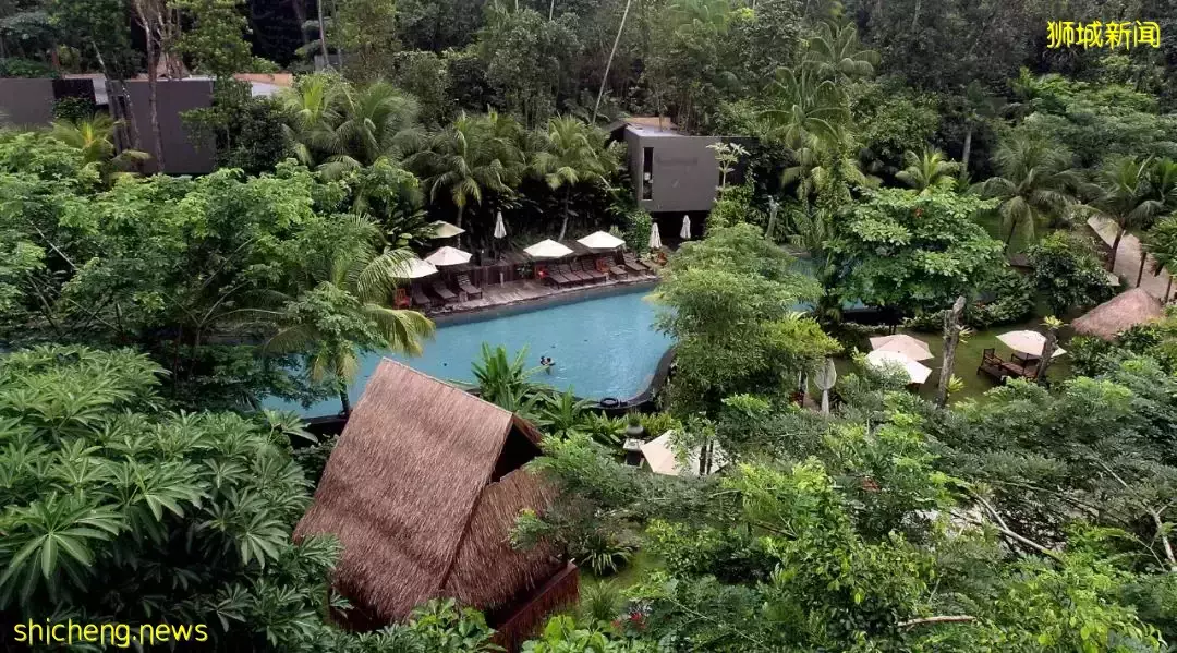 到新加坡圣淘沙度假庆生，洗澡时玻璃门爆裂溅落，41岁女子伤口长八公分