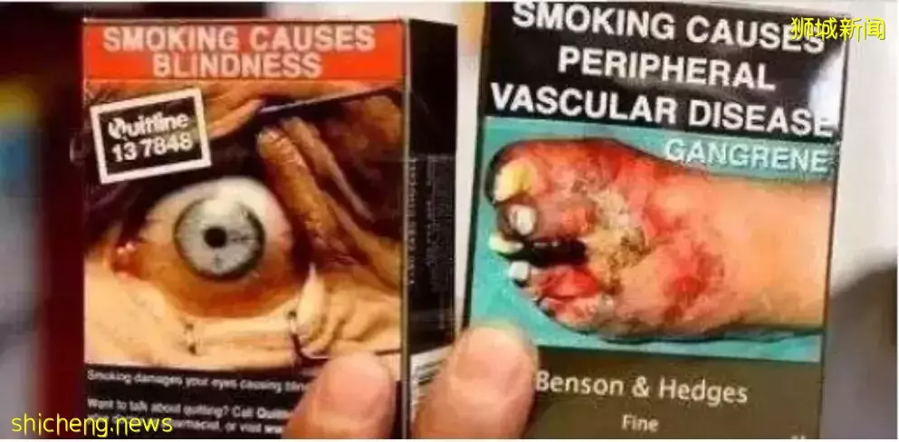 入境新加坡香烟又双叒叕难啦！网友亲测：一根都不行