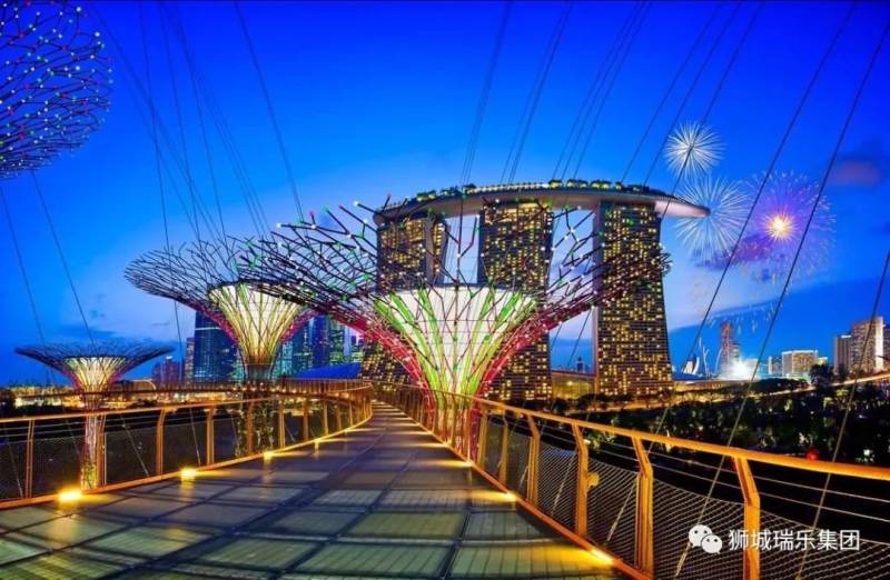 新加坡商务考察项目，也可以定制独享