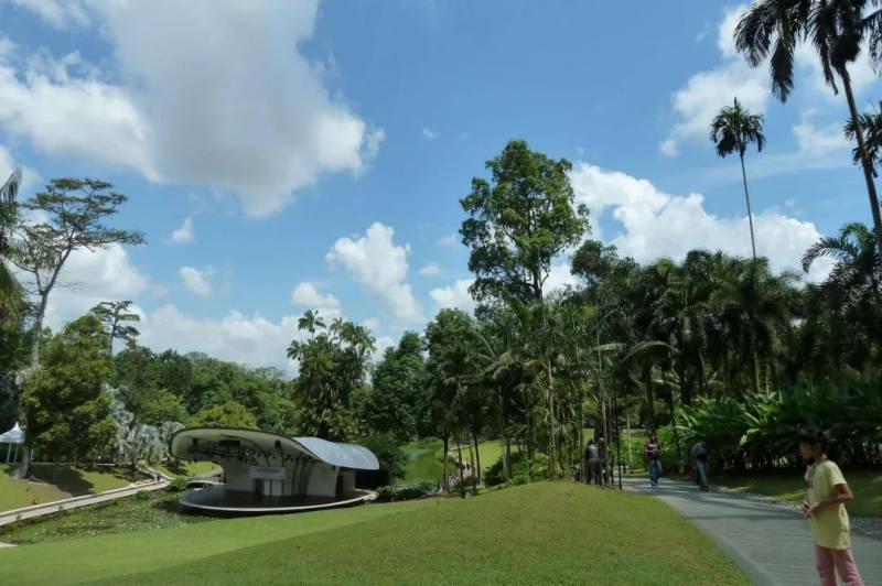 新加坡植物园,真的是个风景如画的好地方呢~(一)