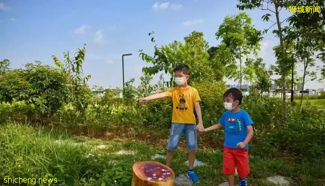 戶外徒步新去處！新加坡新開的7個公園你都遛過了沒