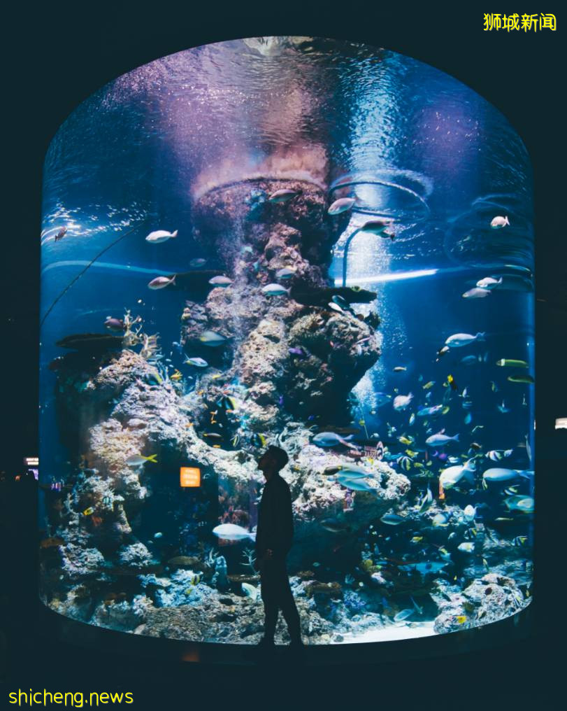 新加坡線上路演展商速遞:一站式度假島新加坡聖淘沙