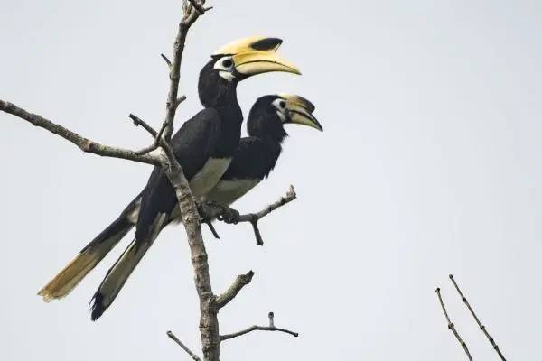 新加坡最好玩的海灘公園!趕海、騎馬、劃艇、樹籬迷宮、燒烤露營,超適合家庭出遊
