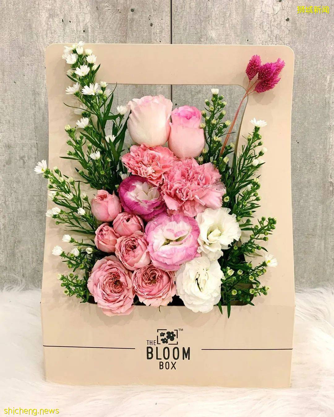 超劃算鮮花網購店合集!低至10新,全島免費送,1日內到付