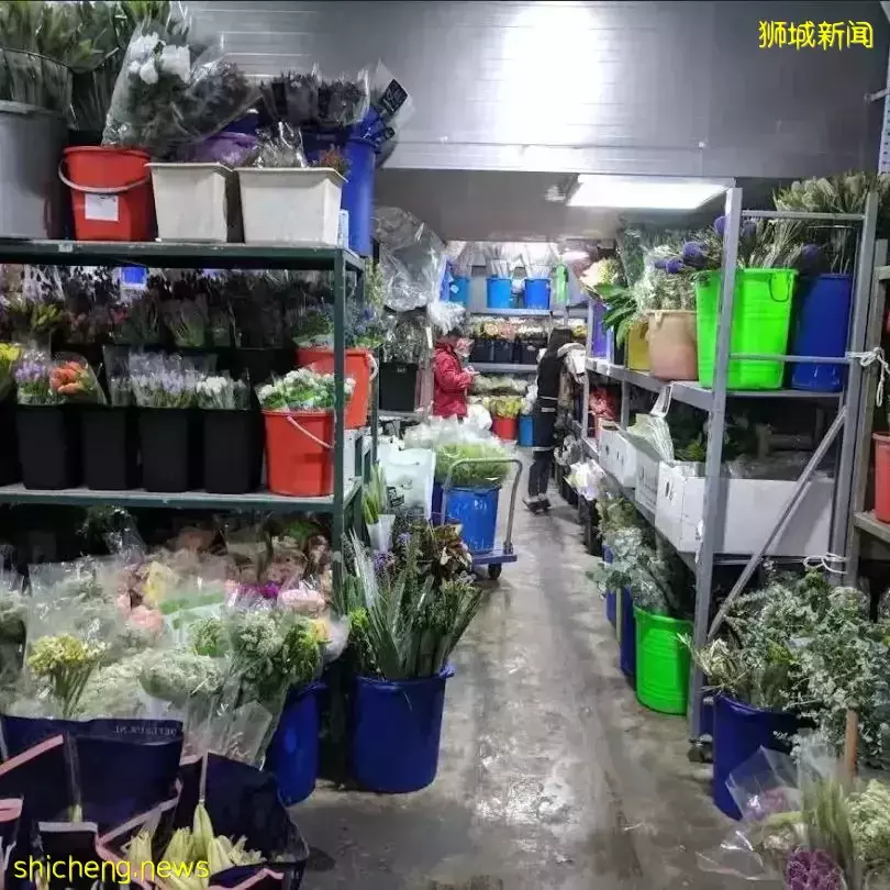 鮮花在熱帶也能養1個月？資深花友新加坡買花、養護大揭秘