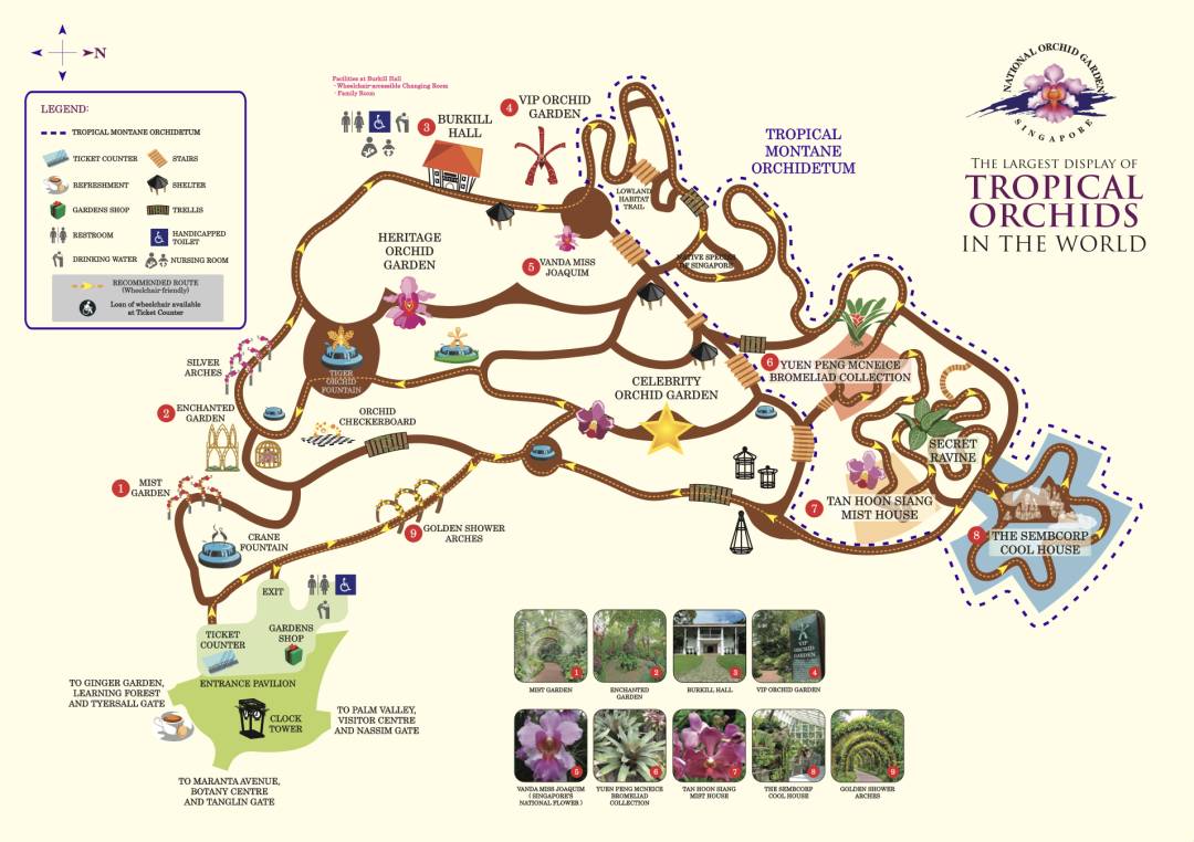 新加坡热带高山胡姬展览馆开幕;国家胡姬花园将免费开放至4月11日