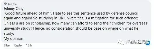 留英新加坡大学生干下百起偷拍事件　网民：一年监禁太轻了