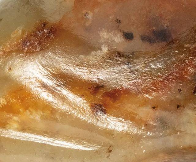 主推名家旧藏,生货集结!东南亚翘楚新加坡国际上线了