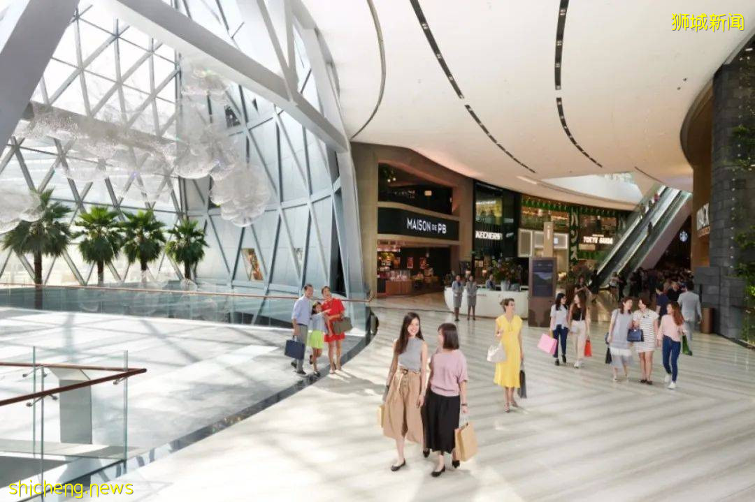 这个520,狮城拍了拍你并与你“新”动有约