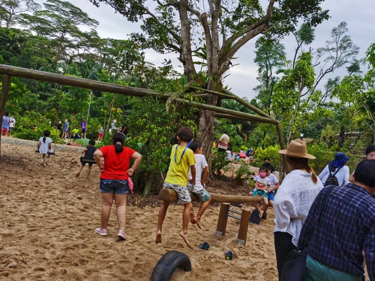 新加坡植物園爆火新景點,不知道怎麽去?手把手教你遊玩攻略