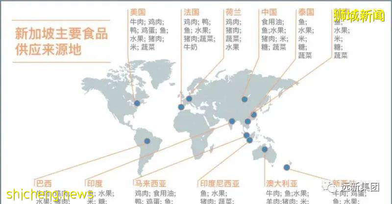 新加坡没有袁隆平,如何解决粮食安全问题